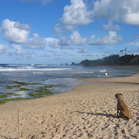 Round House Hotel Bathsheba Kültér fotó
